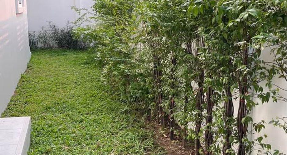 For sale 3 bedrooms house in Doi Saket, Chiang Mai