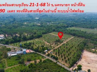 For sale land in Pak Phli, Nakhon Nayok