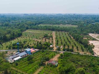 For sale land in Pak Phli, Nakhon Nayok