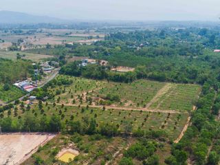 For sale land in Pak Phli, Nakhon Nayok