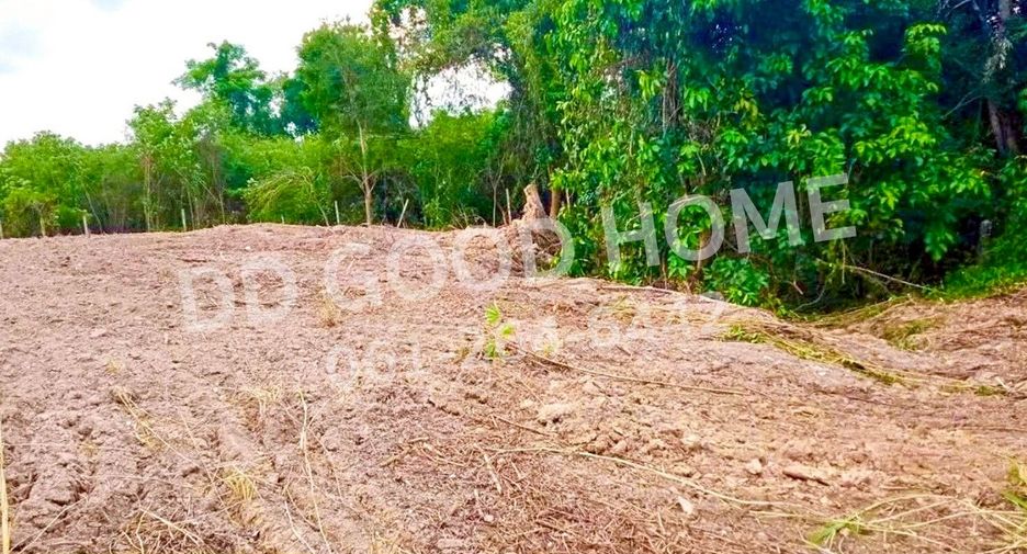 For sale land in Ban Na, Nakhon Nayok