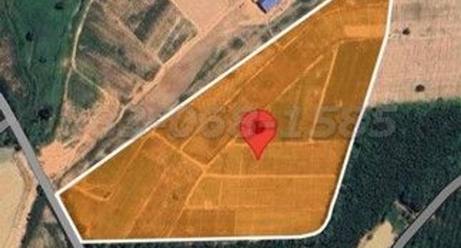 For sale land in Nong Yai, Chonburi