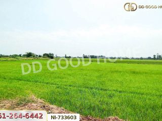 For sale land in Samko, Ang Thong