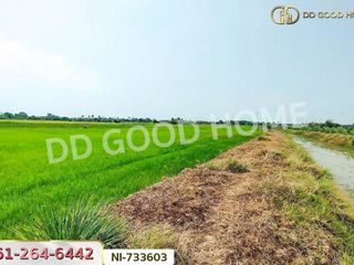 For sale land in Samko, Ang Thong