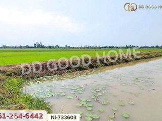 For sale land in Samko, Ang Thong