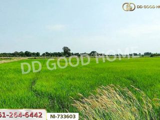 For sale land in Samko, Ang Thong