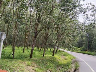 À vendre terrain à Si Racha, Chonburi