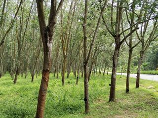 À vendre terrain à Si Racha, Chonburi