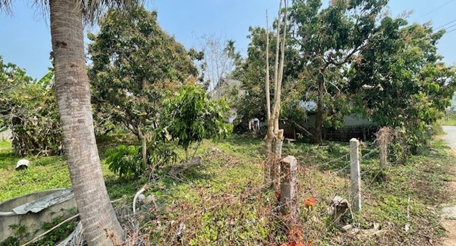 Grundstück zum Kauf in Mae Rim, Chiang Mai