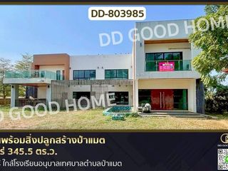 For sale land in Mueang Phrae, Phrae