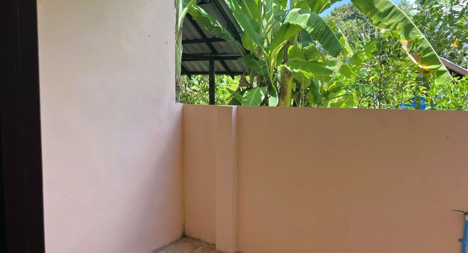 For rent and for sale 4 bedrooms house in Takua Thung, Phang Nga