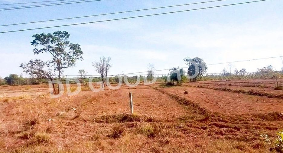 For sale land in Phanna Nikhom, Sakon Nakhon