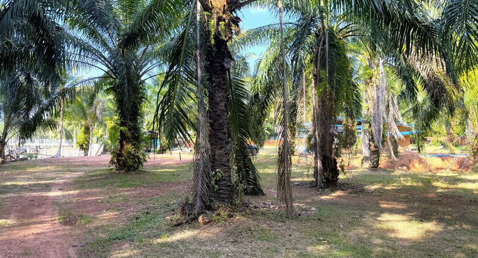 Casa en venta de 4 habitaciones en Ao Luek, Krabi