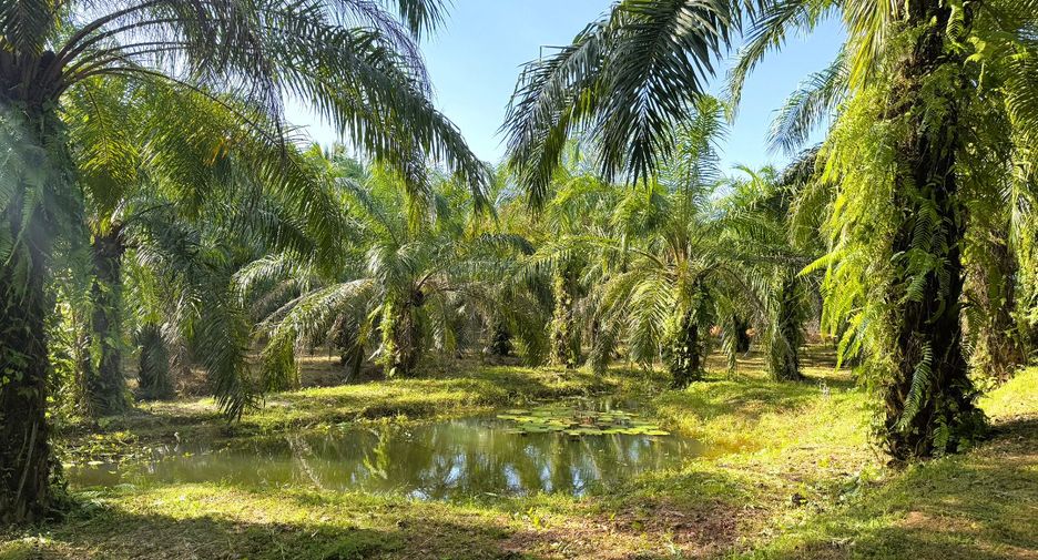 Casa en venta de 4 habitaciones en Ao Luek, Krabi