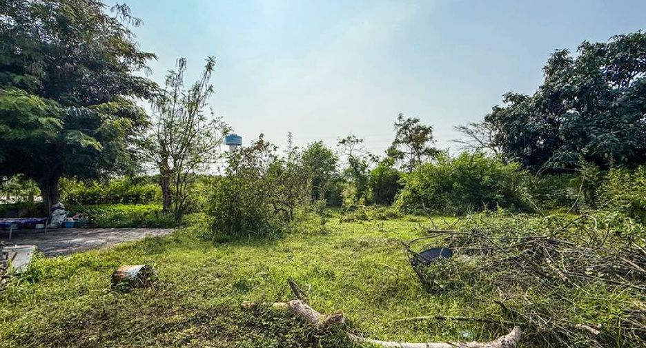 出售 土地 在 Mueang Chon Buri, Chon Buri