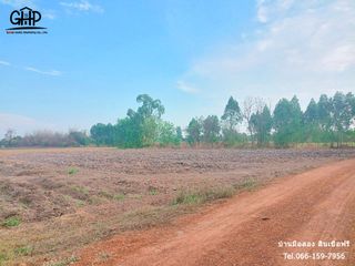 For sale land in Wat Sing, Chainat