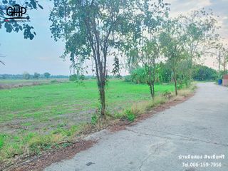 For sale land in Wat Sing, Chainat