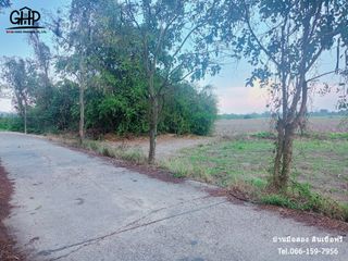 For sale land in Wat Sing, Chainat
