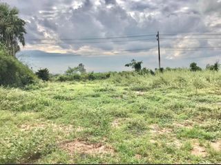 For sale land in Sikhio, Nakhon Ratchasima