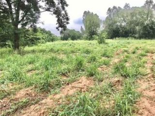 For sale land in Sikhio, Nakhon Ratchasima