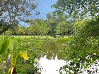 For sale land in Takua Thung, Phang Nga