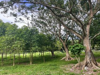For sale land in Takua Thung, Phang Nga