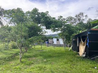 For sale land in Takua Thung, Phang Nga