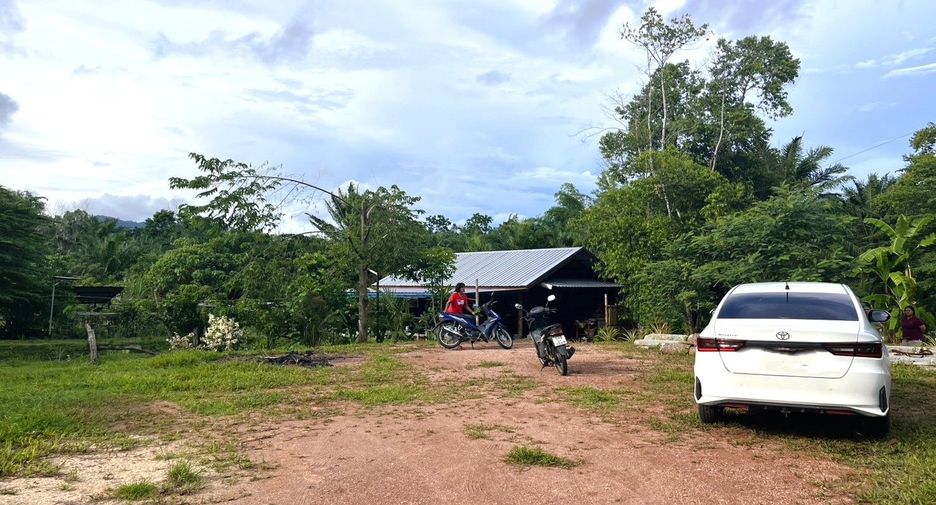 For sale land in Takua Thung, Phang Nga