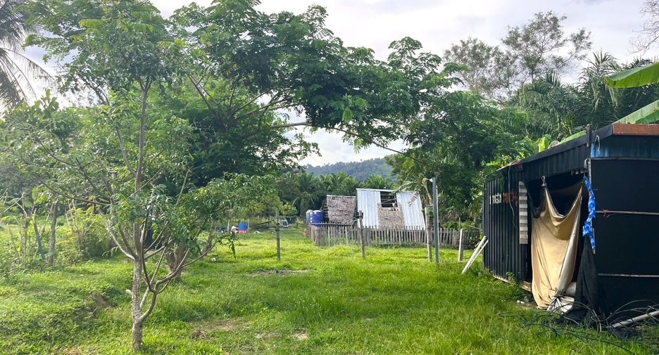For sale land in Takua Thung, Phang Nga
