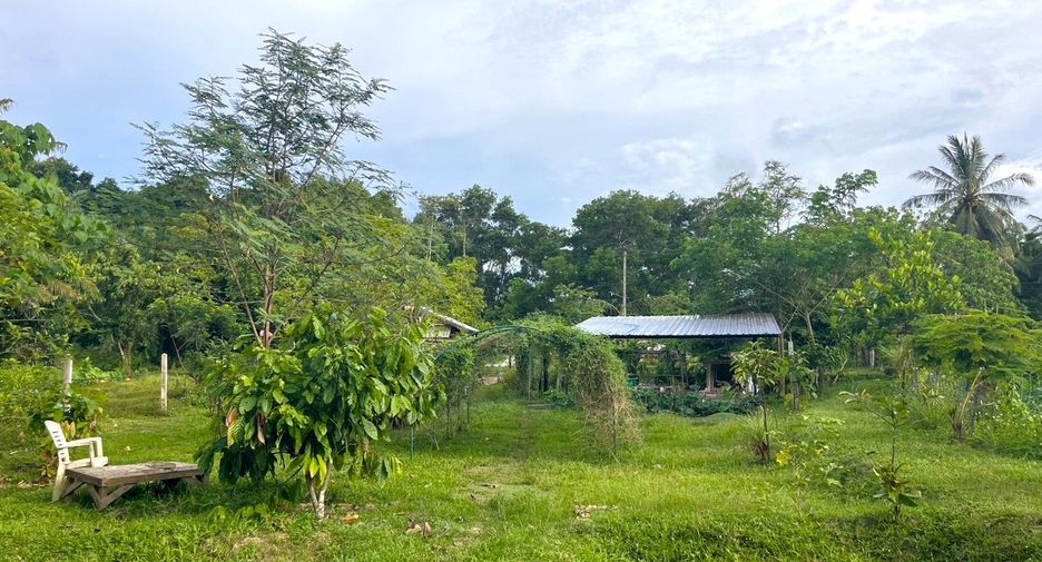 For sale land in Takua Thung, Phang Nga
