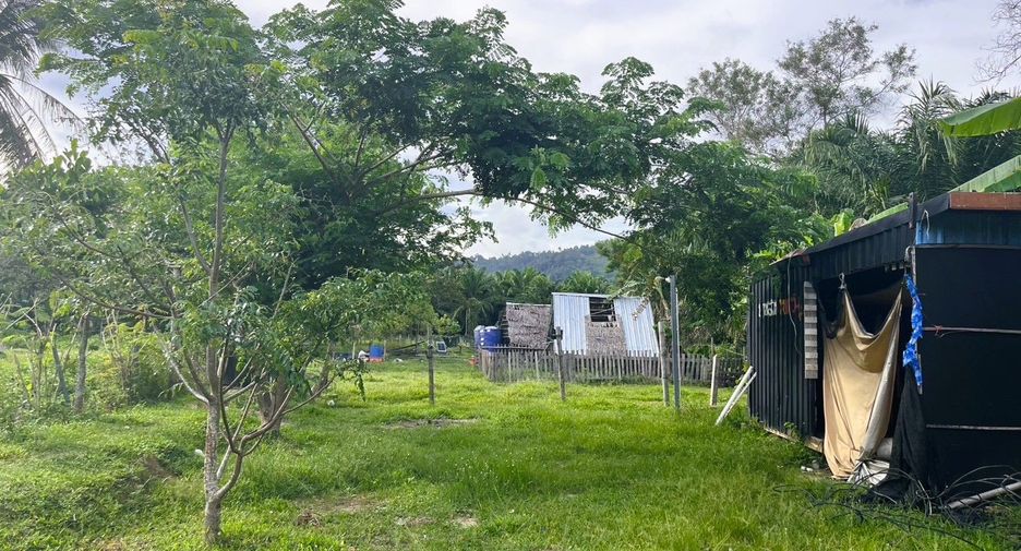 For sale land in Takua Thung, Phang Nga