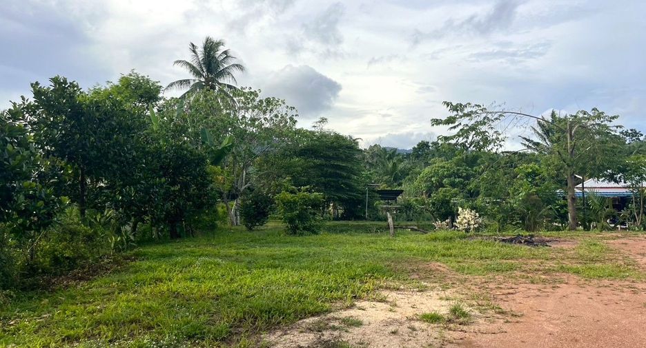 For sale land in Takua Thung, Phang Nga