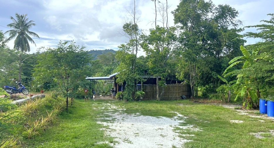 For sale land in Takua Thung, Phang Nga