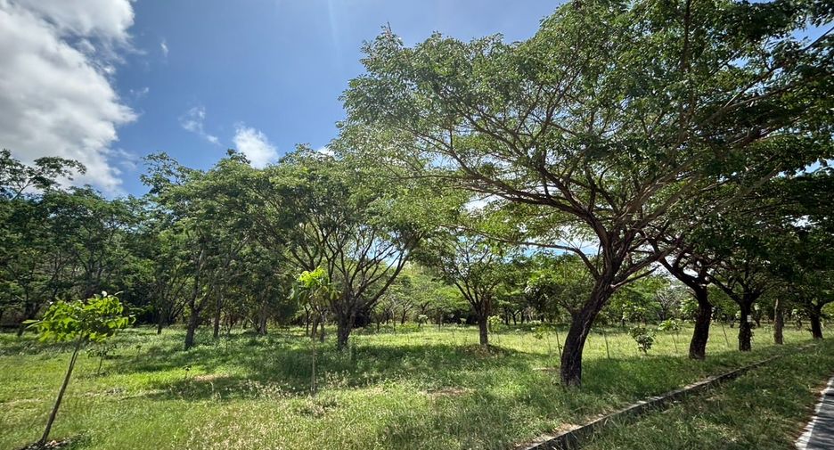 Grundstück zum Kauf in Ban Chang, Rayong