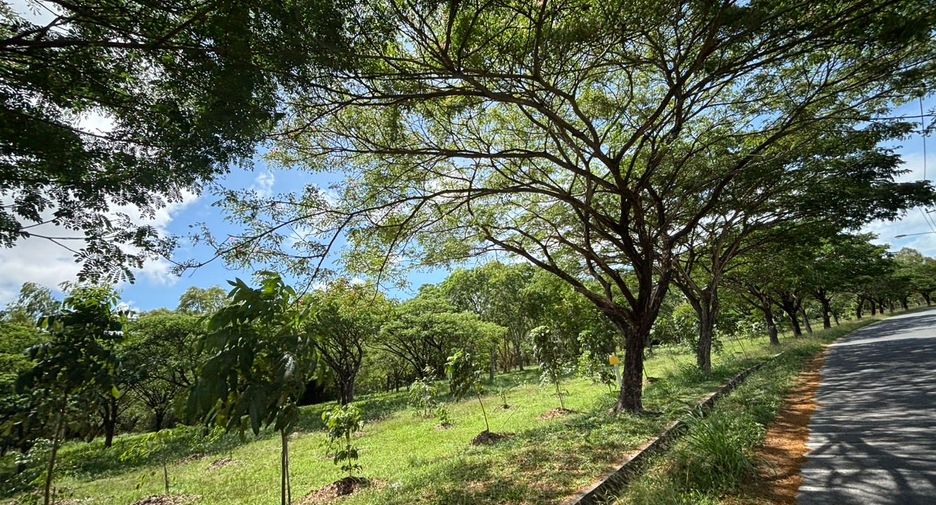 Grundstück zum Kauf in Ban Chang, Rayong