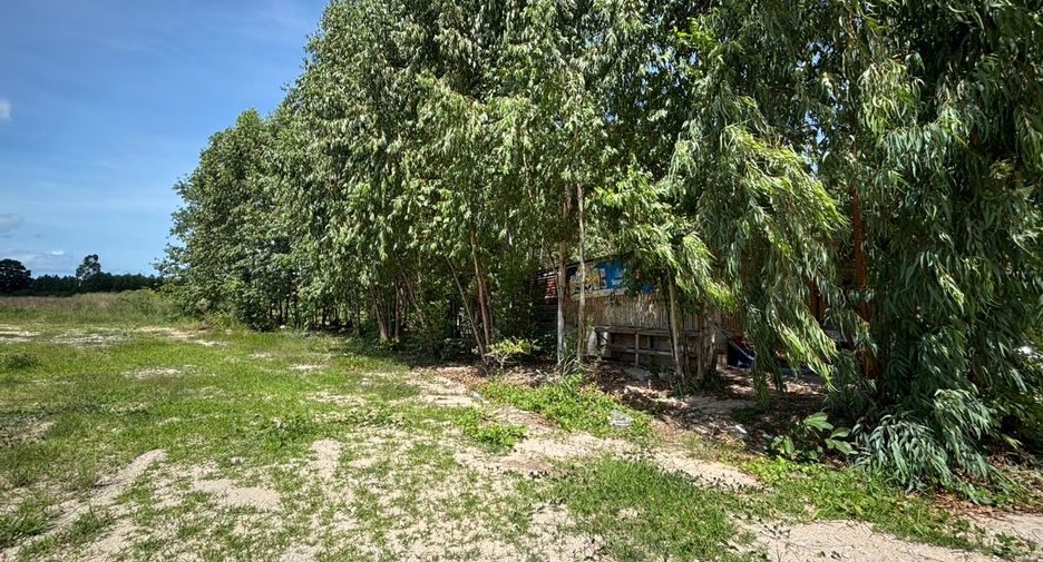 Grundstück zum Kauf in Ban Chang, Rayong