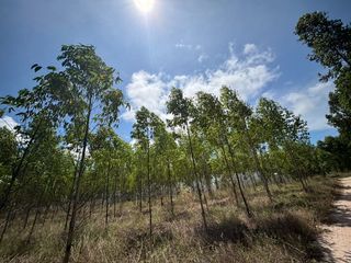 ขาย ที่ดิน ใน บ้านฉาง, ระยอง
