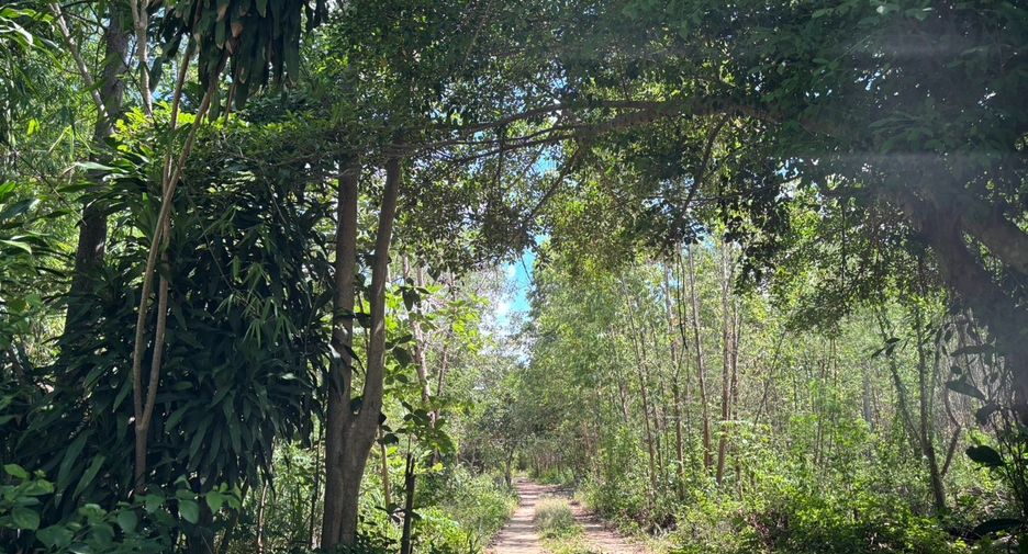 Grundstück zum Kauf in Ban Chang, Rayong