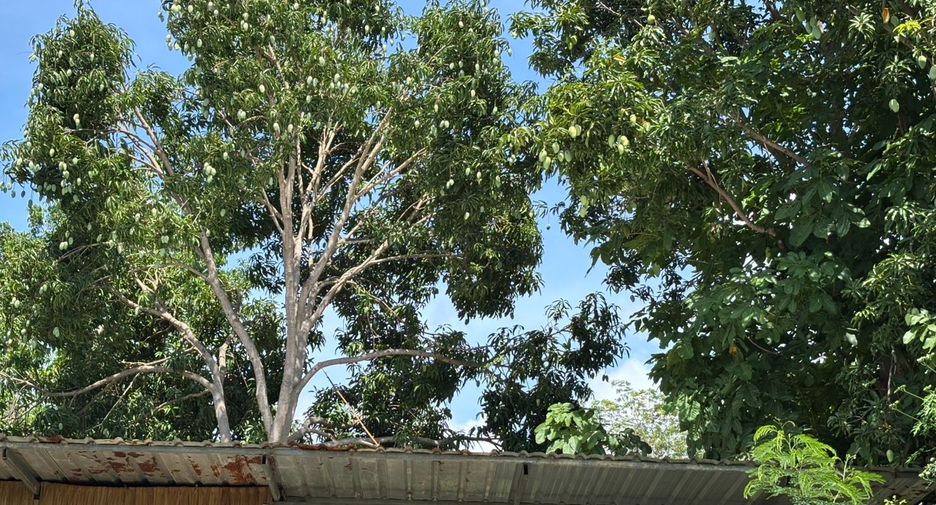 Grundstück zum Kauf in Ban Chang, Rayong