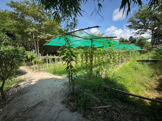 ขาย ที่ดิน ใน บ้านฉาง, ระยอง