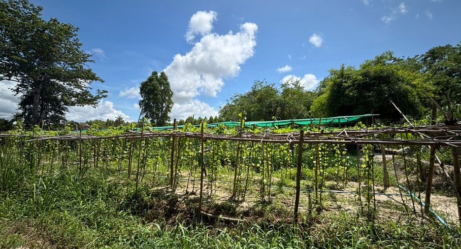 Grundstück zum Kauf in Ban Chang, Rayong