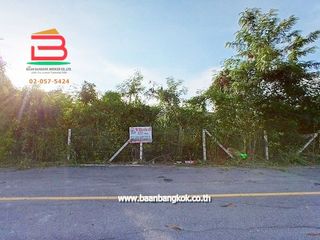 For rent and for sale land in Sam Khok, Pathum Thani