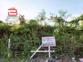For rent and for sale land in Sam Khok, Pathum Thani