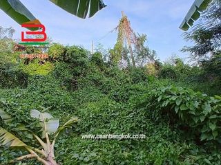 For rent and for sale land in Sam Khok, Pathum Thani