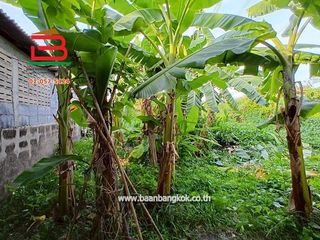 For rent and for sale land in Sam Khok, Pathum Thani
