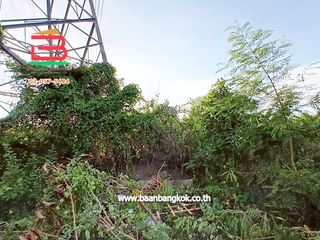 For rent and for sale land in Sam Khok, Pathum Thani