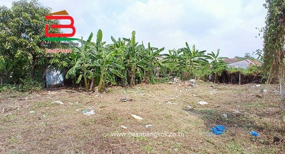 出租 和 出售 土地 在 Sam Khok, Pathum Thani