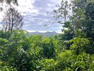 For sale land in Takua Thung, Phang Nga