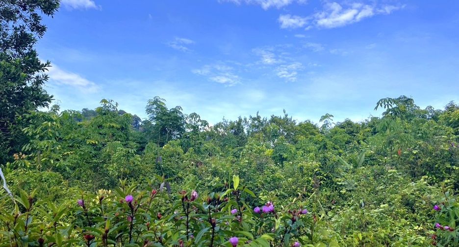À vendre terrain à Takua Thung, Phang Nga