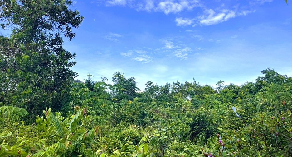 À vendre terrain à Takua Thung, Phang Nga
